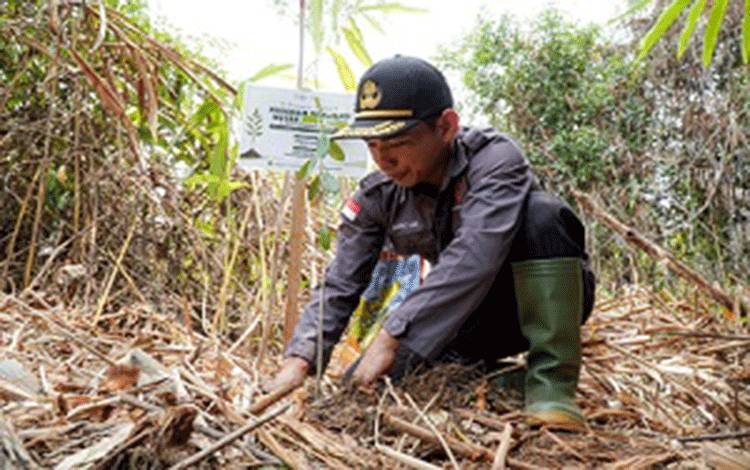Lurah Mendawai Minta Warga Ikut Merawat Pohon Program Reboisasi SSMS