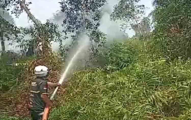 Karhutla Kembali Berkobar di Trans Kalimantan Km 6 Basarang