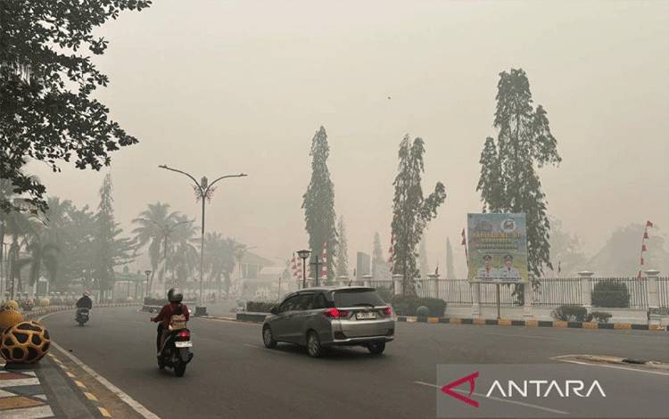 Manggala Agni dan BPBD Barito Selatan Perkuat Sinergi Tangani Karhutla