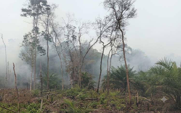 ISPA Capai 1.360 Jiwa, Kabut Asap Mulai Ganggu Aktivitas Warga Barito Timur