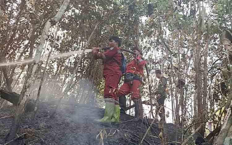 Lahan Gambut Jadi Tantangan, Karhutla 2,5 Hektare di Telang Barito Timur Berhasil Dikendalikan