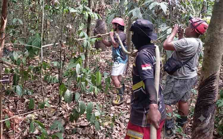 Karhutla di Puri Barito Timur Bakar 2 Hektare Lahan, Tim Gabungan Kendalikan Api dalam 3 Jam