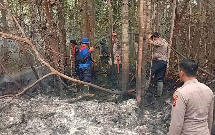 712 Hektare Lahan Terbakar, Karhutla Barito Timur Capai 485 Kejadian