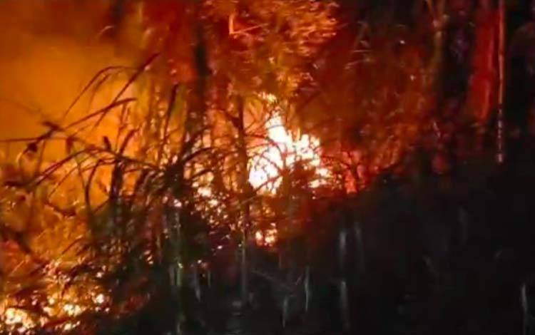 Karhutla Kembali Mengganas di Kahayan Hilir, Api Membesar di Tiga Wilayah
