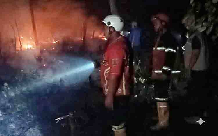 Karhutla di Desa Telang Bartim Bakar 2 Hektare Lahan, Tim Gabungan Berjibaku hingga Malam