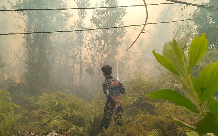 Tim Dalkarhutla Kalteng Berupaya Padamkan 16 Titik Api Karhutla