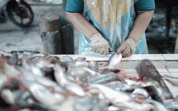 Disdagperin Kalteng Dorong Diversifikasi Produk Perikanan
