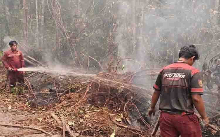 Tim Gabungan Gerak Cepat, Karhutla 0,8 Hektare di Pinang Tunggal Bartim Berhasil Dipadamkan