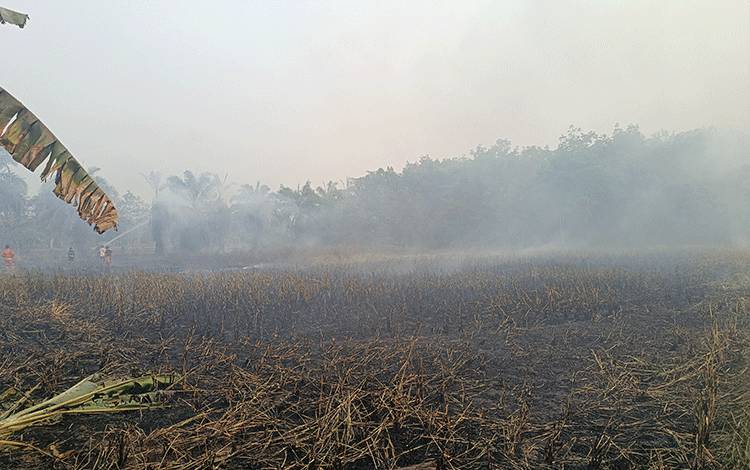 Setengah Hektare Lahan di Gang Kasintu Kuala Kapuas Terbakar