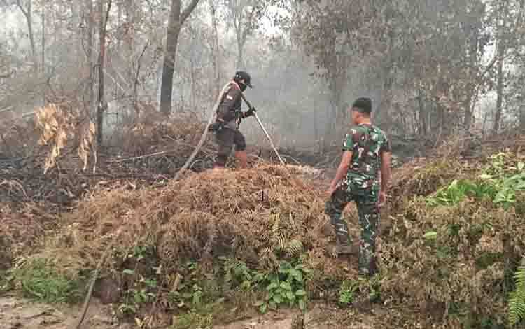 608 Kejadian Karhutla di Palangka Raya, Luas Terbakar Capai 1.265,59 Hektare