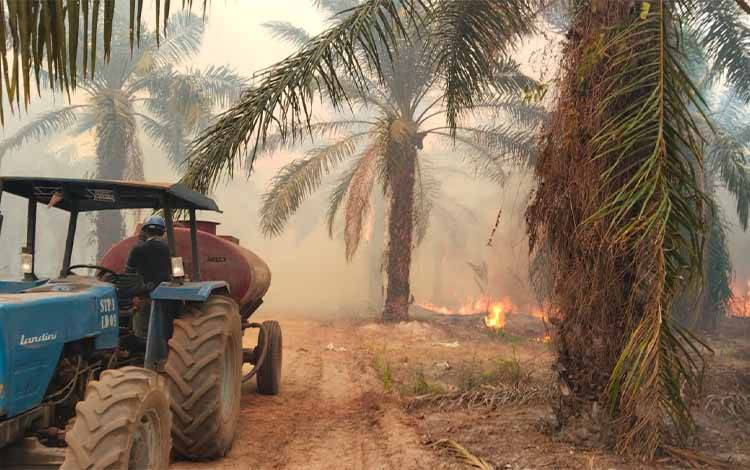 Lahan Sawit PT STP-1 Wilmar Grup di Kalteng Terbakar