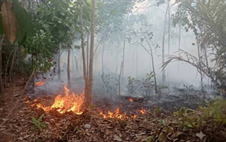 Kemarau Berlangsung Lebih Lama, Barito Timur Baru Berpeluang Masuk Musim Hujan November