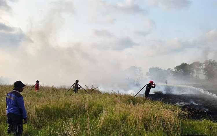 Karhutla Hanguskan 8 Hektare Lahan di Kuala Pembuang