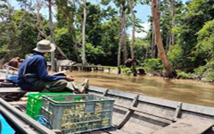 Masoraian Tunjukkan Konservasi dan Kesejahteraan Bisa Beriringan
