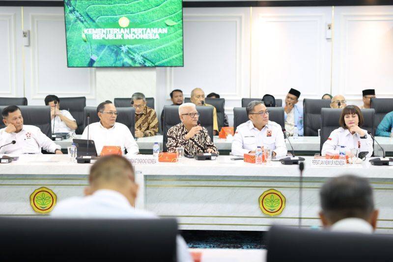 Impor Singkong Dihentikan, MSI Sebut Harga di Petani Naik hingga Rp2.400 per Kg