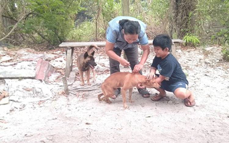 Kesadaran Masyarakat Jadi Kunci Palangka Raya Bebas Rabies