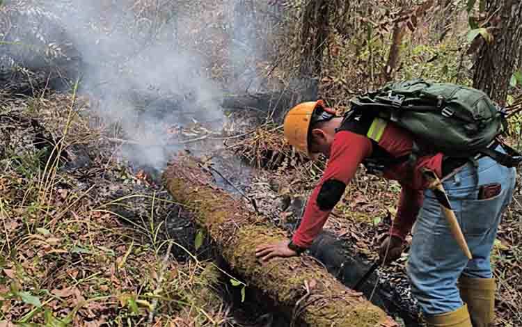 Diduga Terkait Perburuan Liar, Empat Titik Api Ditemukan di Pulau Patai Barito Timur