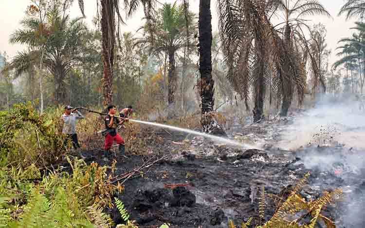 50 Hektare Lahan Gambut di Ketab Terbakar, Tim Karhutla Baru Padamkan 5 Hektare