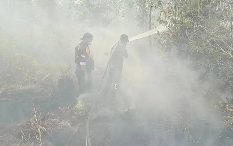 653 Kejadian Karhutla, 1.297 Hektar Lahan Terbakar di Palangka Raya