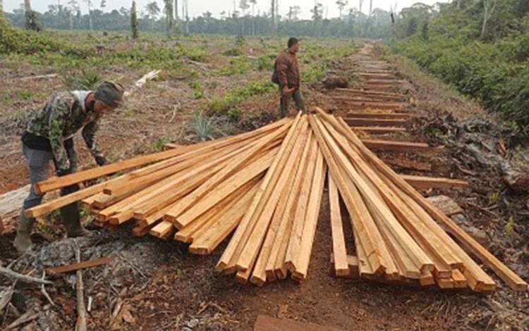 Kemenhut Tahan Dua Tersangka Pembalakan di Habitat Harimau