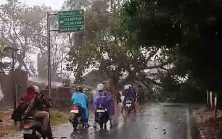 Hujan Disertai Angin Kencang Tumbangkan Pohon di Banjar, Akses Jalan dan Rumah Warga Kena Imbas