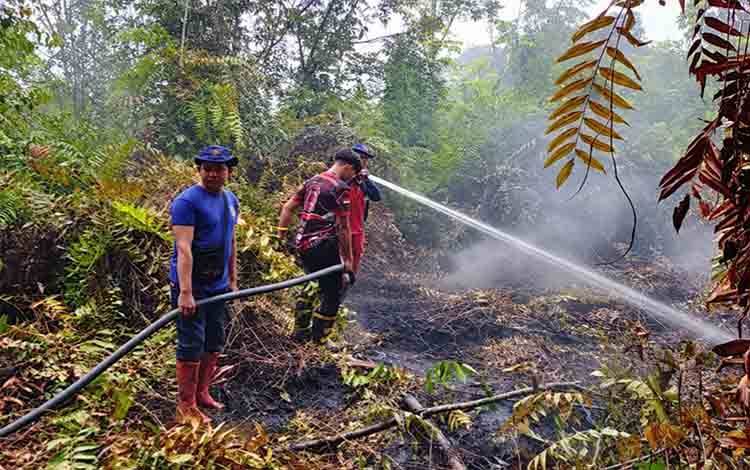 Karhutla Gang Hibrida Ampah Bakar 5 Hektare, Api Menyusup ke Gambut Tebal