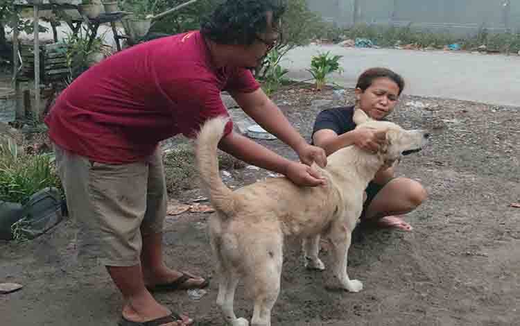 World Rabies Day 2026, Masyarakat Luar Palangka Raya Bisa Akses Vaksinasi di Daerah