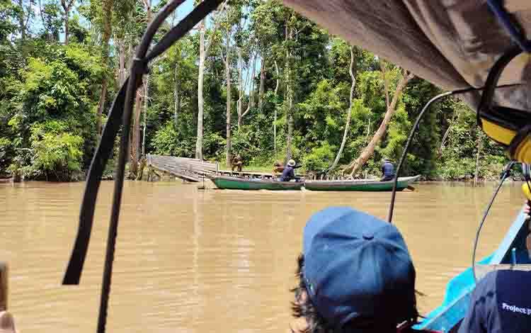 Puluhan Jenis Burung Tercatat di Kawasan Masoraian
