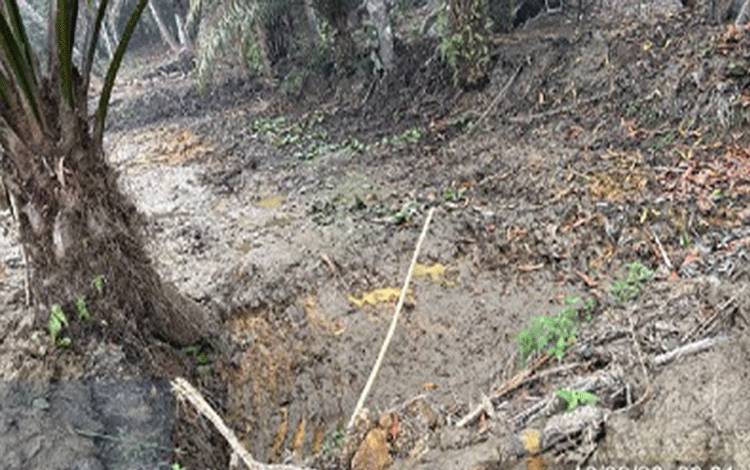 Seperti ini Kondisi Budidaya Ikan Kabupaten Gunung Mas di Musim Kemarau