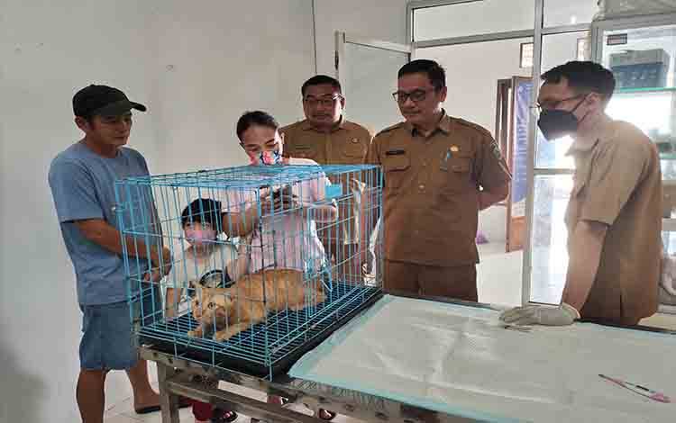 Hari Kedua World Rabies Day, DPKP Palangka Raya Buka Vaksin dan Cek Kesehatan Hewan Gratis