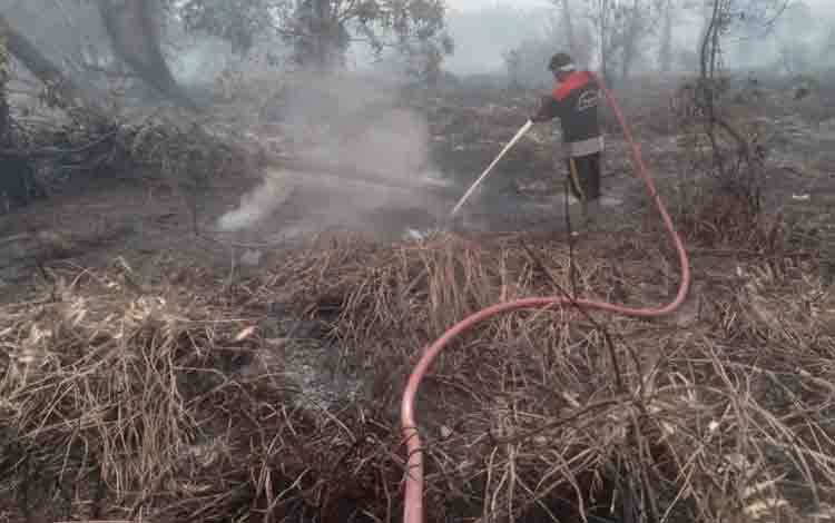 Tokoh Masyarakat Kobar Soroti Lahan Terbakar Tak Bertuan, Minta Pemilik Bertanggung Jawab