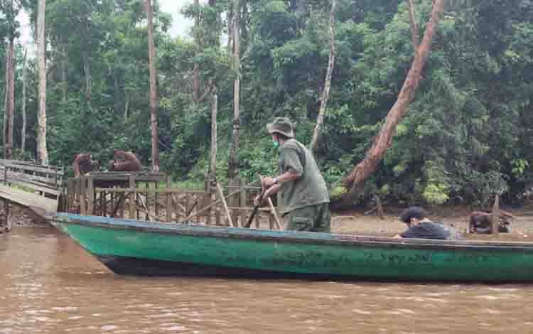 Gambut Terbuka di Danau Masoraian Dipulihkan, Kerusakan Ancam Fungsi Ekologis