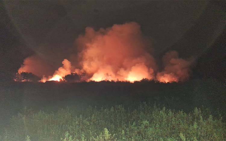 Karhutla Besar Terjadi di Handiwung dan Sungai Haur Kapuas, Api Dekati Permukiman