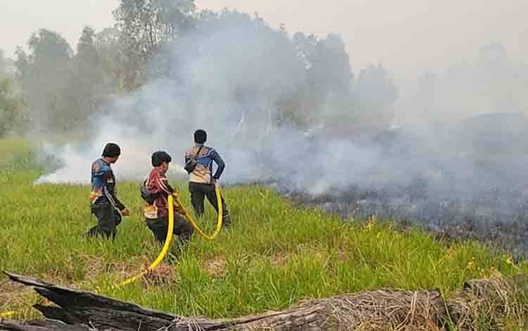 Tim Dalkarhutla Lanjutkan Pemadaman di Kawasan Tahura Isen Mulang Sebangau Berkah