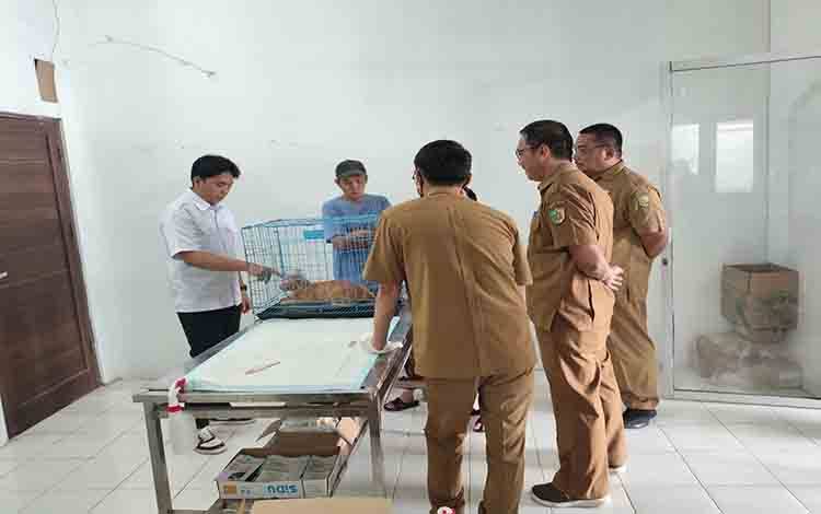Hari Terakhir World Rabies Day, DPKP Palangka Raya Masih Punya 100 Kuota Vaksin