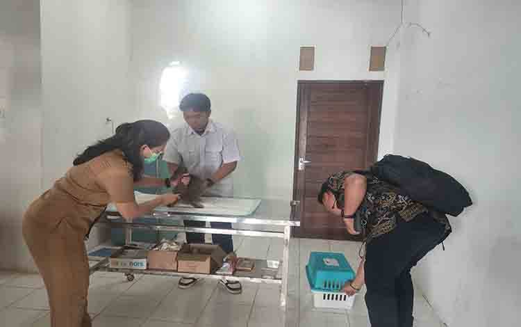 169 Pemilik Hewan Daftar Vaksinasi Rabies di Hari Pertama
