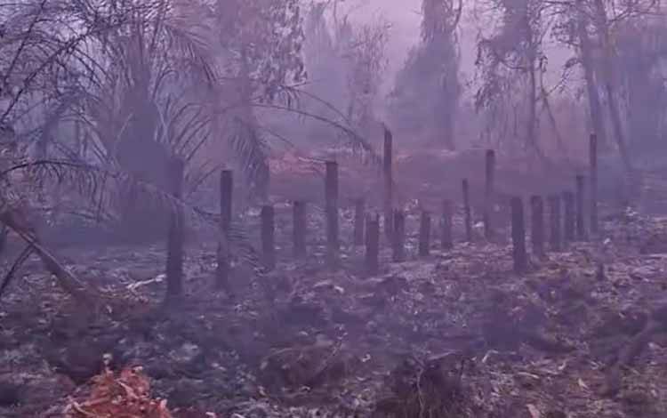 Kebakaran Permukiman di Kalteng Tembus 128 Kejadian, Palangka Raya Jadi Penyumbang Terbanyak