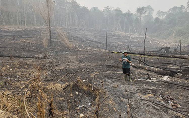 Cek Lahan Dua Tersangka Karhutla Hayaping, Keluarga Bantah Luasnya Capai 11 Hektare