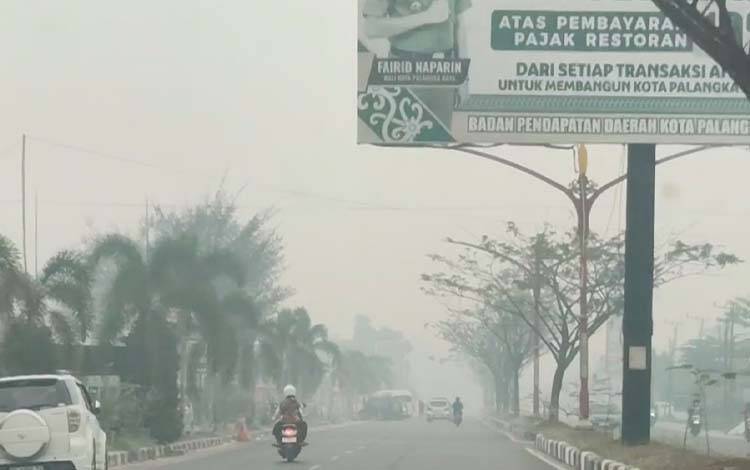 Rawing: Pemulihan Cuaca Jadi Kunci Pasokan CPO 2027