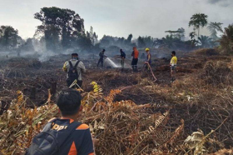 Karhutla Capai 3.434 Hektare, Kapuas Perpanjang Status Tanggap Darurat hingga 13 Oktober