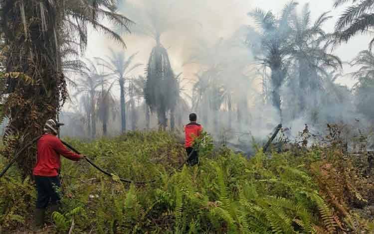 Lima Hektare Gambut Terbakar di Eks PT MJAP Kupang Bersih, Tim Gabungan Berjibaku 7 Jam