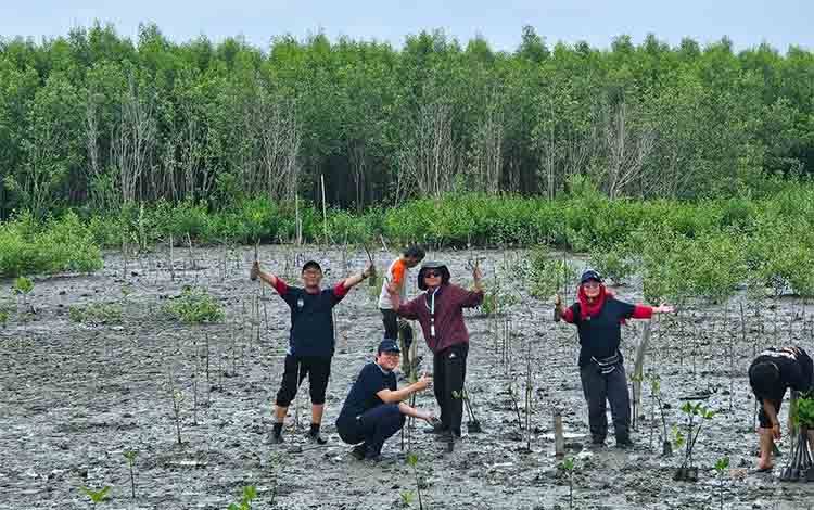 Mangrove Tak Cukup Ditanam, Harus Dikelola untuk Menopang Pesisir