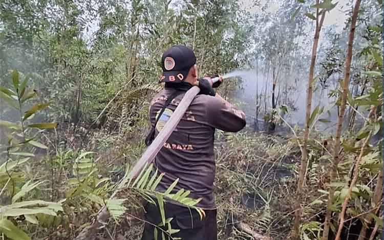 752 Kejadian Karhutla, 1.369,95 Hektare Lahan Terbakar di Palangka Raya