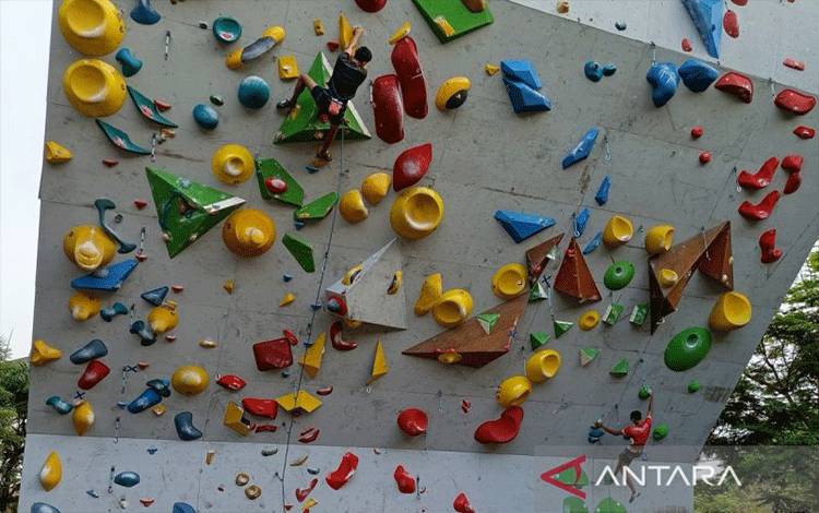 Panjat Tebing Lead Tanpa Medali pada Asian Games 2026