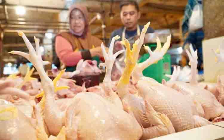 Bapanas Siapkan Subsidi Angkut Jaga Harga Daging Ayam Tetap Wajar