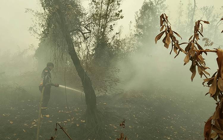 Dalkarhutla Padamkan Dua Titik Kebakaran di Desa Tanjung Taruna Pulang Pisau