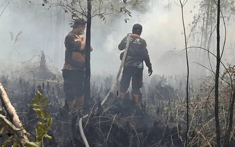 Sudah 1.379 Hektare Lahan di Palangka Raya Terbakar