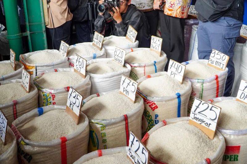Saat 116 Daerah Masih Naik, Harga Beras di Kalteng Justru Turun