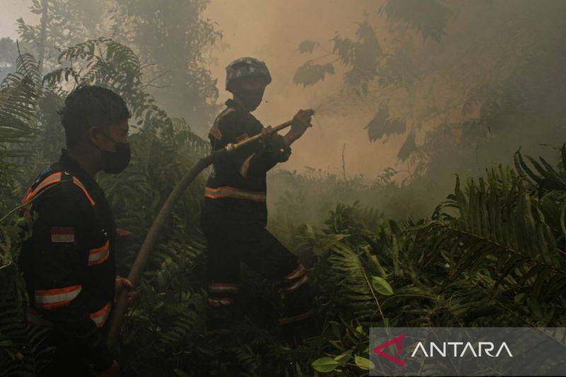Palangka Raya Siapkan Rp6,7 Miliar Atasi Karhutla 2027