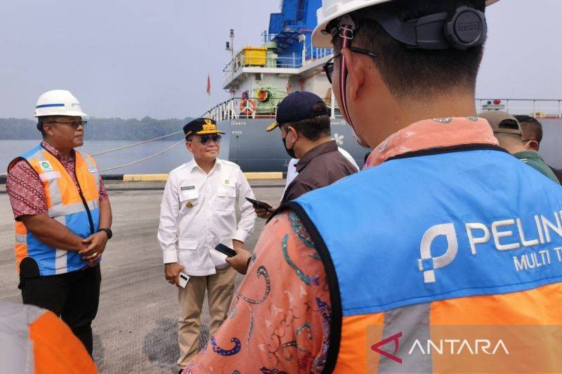 Status Pelabuhan Bumiharjo Kobar Masuk Kawasan Hutan, Sejumlah Aktivitas Tertunda